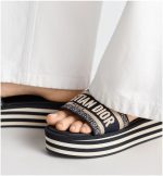 Dway Platform Slide - Image 3